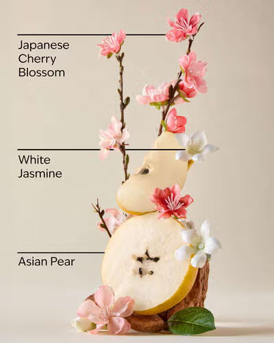 Japanese Cherry Blossom.