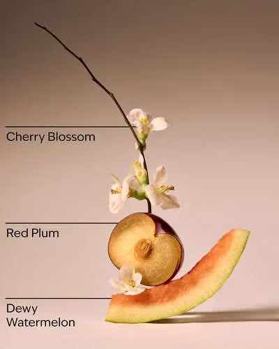 Cherry Blossom.