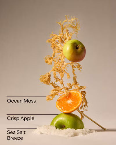 Marine Waves & Citrus.