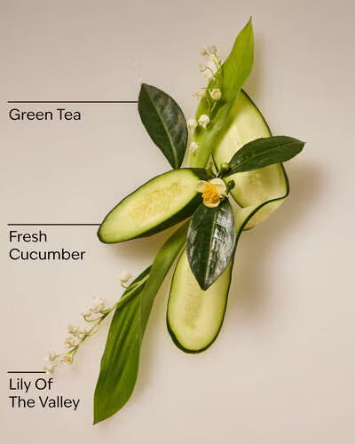 Cucumber & Lily.