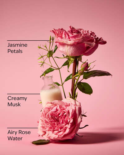 Rose.