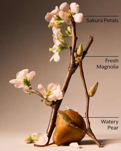 Forever Cherry Blossom.