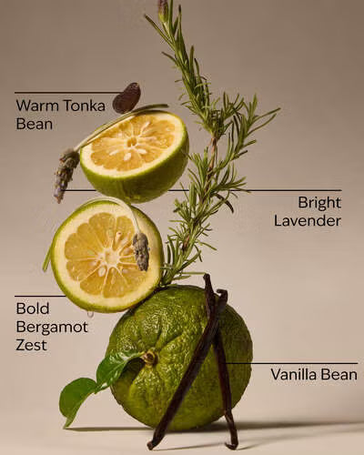 Lavender Bergamot.