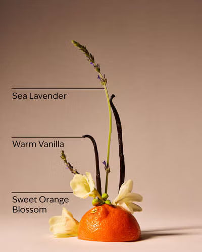 Sweet Orange Blossom.