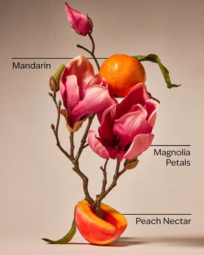 Pink Peach Blossom.