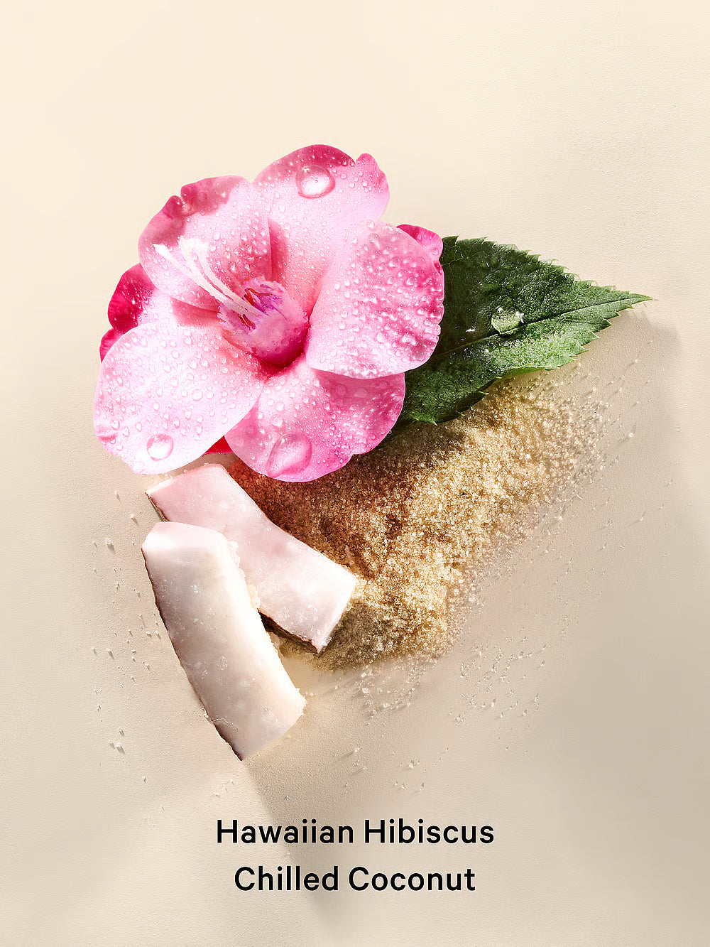 Isla Hibiscus.