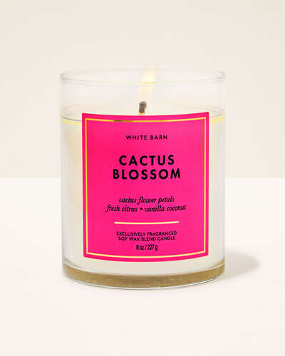 Cactus Blossom.