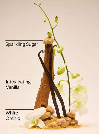 Warm Vanilla Sugar.
