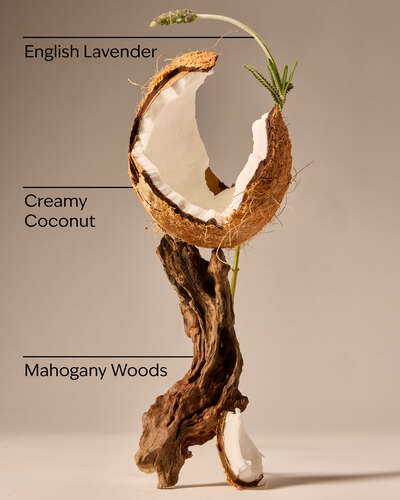 Mahogany Coconut.