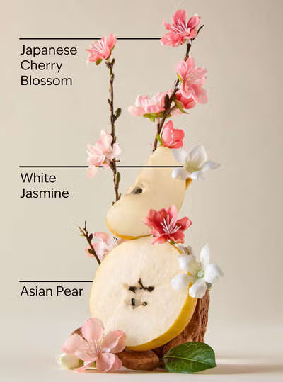 Japanese Cherry Blossom.