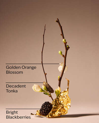 Touch of Gold.