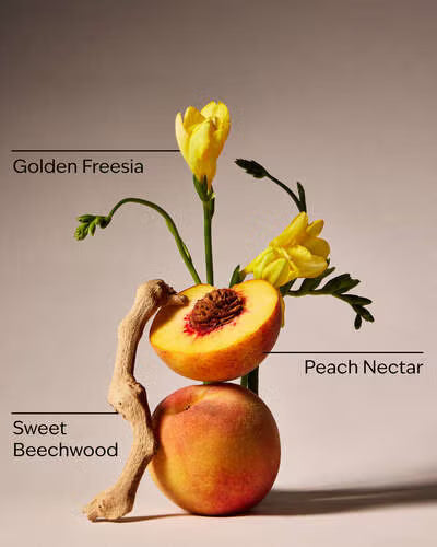 Peach Blossom & Nectar.