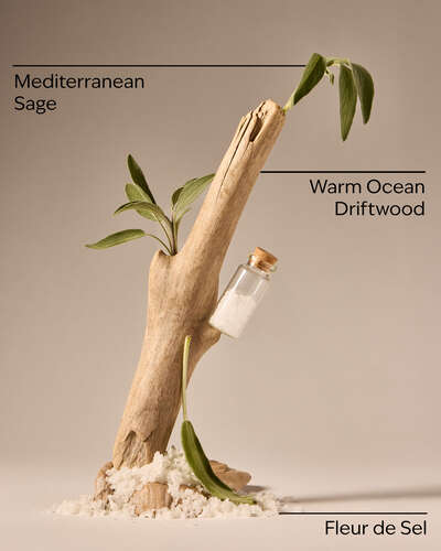 Sea Salt & Driftwoods.
