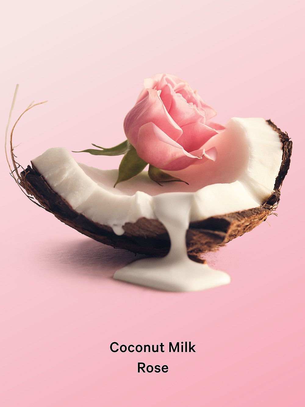 Coconut Milk & Rose.