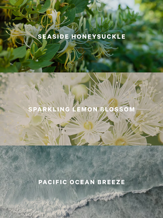 Coastal Blooms.