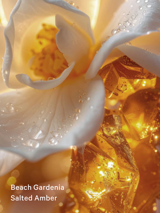 Seashell Shimmer.